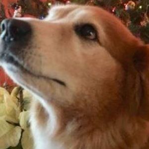 Meet your Posher, JP